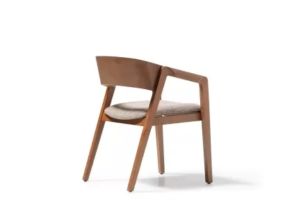 Feanor luxury armrest chair